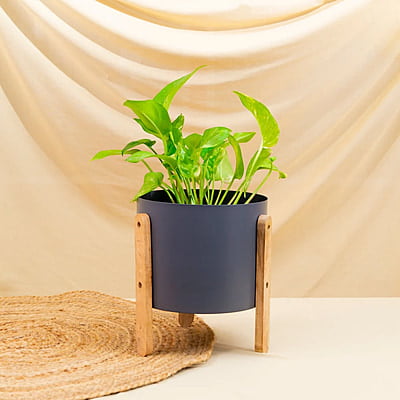 Serene Home Decor Eco-Friendly Metal Pot with Powder-Coated Finish and Wooden Stand