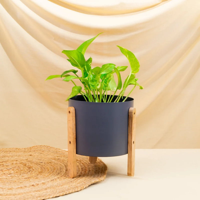 Serene Home Decor Eco-Friendly Metal Pot with Powder-Coated Finish and Wooden Stand Serene Home Decor Eco-Friendly Metal Pot with Powder-Coated Finish and Wooden Stand