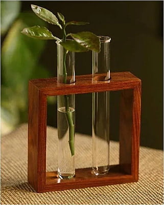 Modern Wooden Test Tube Vase with 2 Tubes