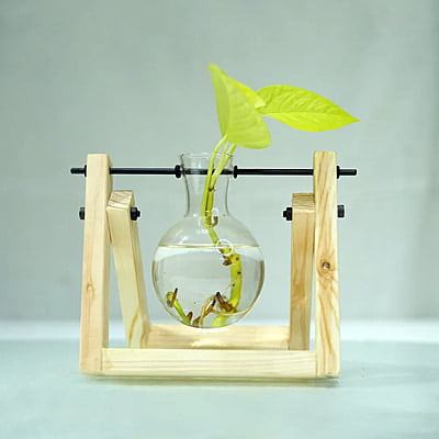 Clear Glass Vase with Wooden Stand