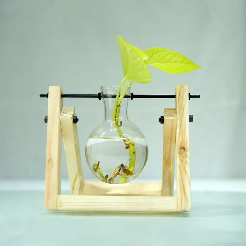 Clear Glass Vase with Wooden Stand Clear Glass Vase with Wooden Stand